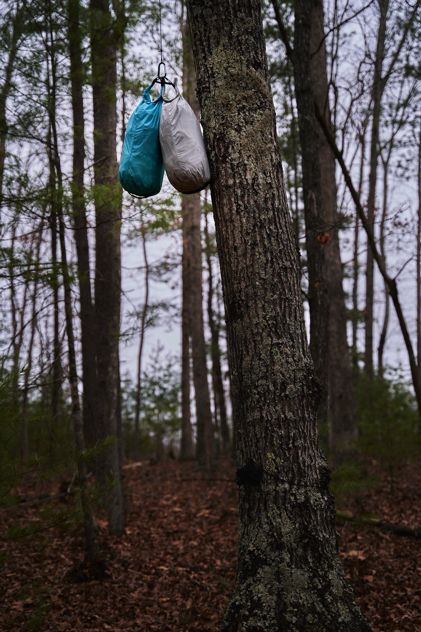 UltraLight Hanging Bear Bag Kit - Food Storage for Thru Hiking, Hunting, Backpacking