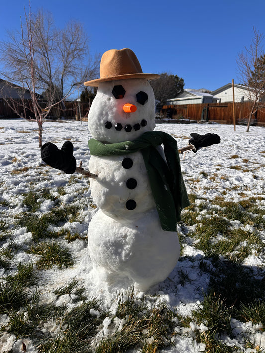 Snowman Build Kit